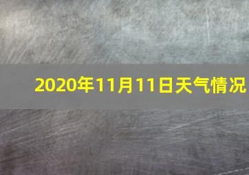 2020年11月11日天气情况