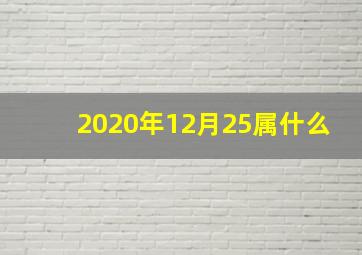 2020年12月25属什么