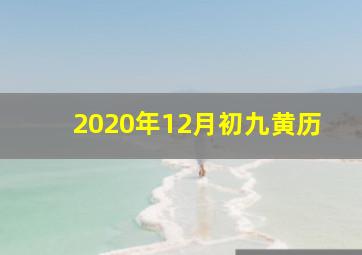 2020年12月初九黄历