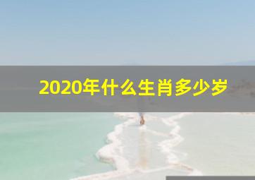 2020年什么生肖多少岁