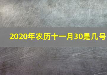 2020年农历十一月30是几号