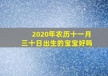 2020年农历十一月三十日出生的宝宝好吗