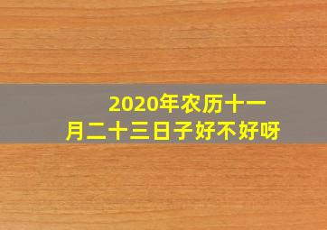 2020年农历十一月二十三日子好不好呀