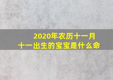 2020年农历十一月十一出生的宝宝是什么命