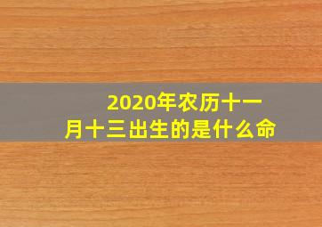 2020年农历十一月十三出生的是什么命