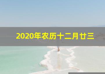 2020年农历十二月廿三