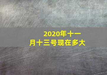 2020年十一月十三号现在多大