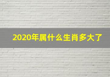 2020年属什么生肖多大了