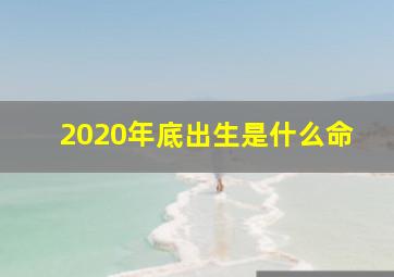 2020年底出生是什么命