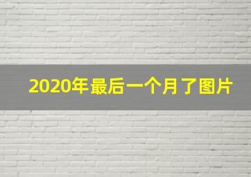 2020年最后一个月了图片