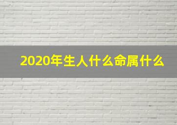 2020年生人什么命属什么