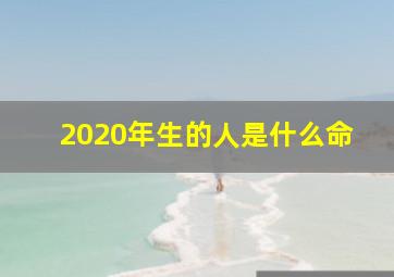 2020年生的人是什么命