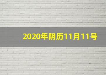 2020年阴历11月11号