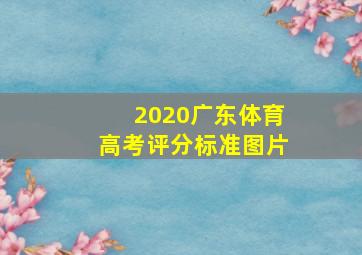 2020广东体育高考评分标准图片