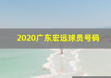 2020广东宏远球员号码