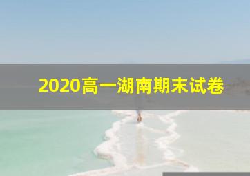 2020高一湖南期末试卷