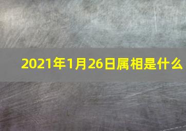 2021年1月26日属相是什么