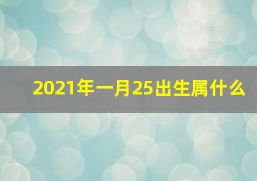 2021年一月25出生属什么