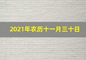 2021年农历十一月三十日