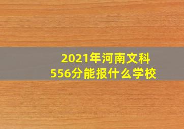 2021年河南文科556分能报什么学校