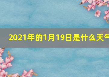 2021年的1月19日是什么天气