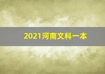 2021河南文科一本