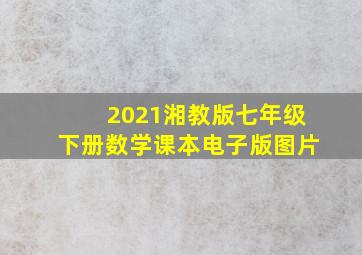 2021湘教版七年级下册数学课本电子版图片