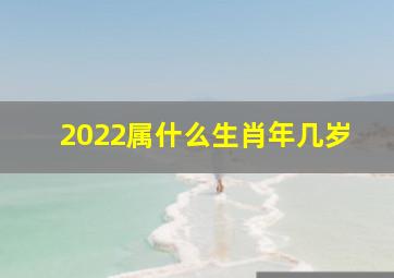 2022属什么生肖年几岁