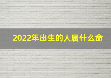 2022年出生的人属什么命