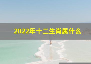 2022年十二生肖属什么