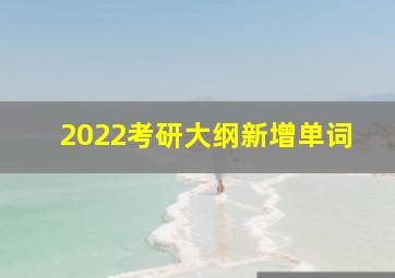 2022考研大纲新增单词