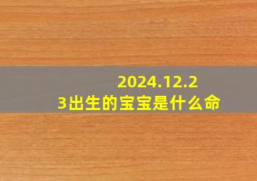 2024.12.23出生的宝宝是什么命