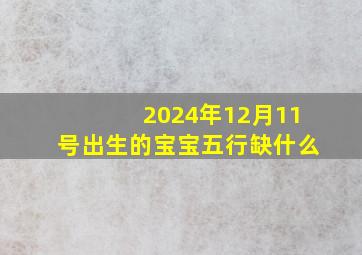 2024年12月11号出生的宝宝五行缺什么