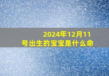 2024年12月11号出生的宝宝是什么命