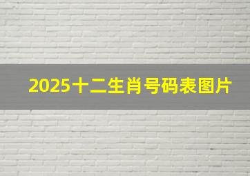 2025十二生肖号码表图片