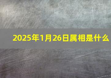 2025年1月26日属相是什么