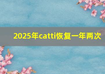 2025年catti恢复一年两次