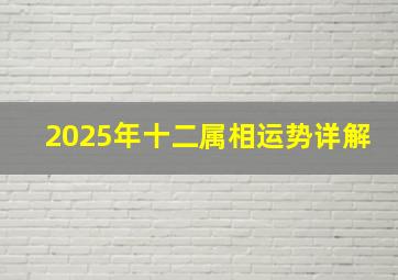 2025年十二属相运势详解