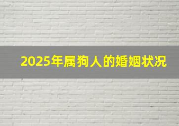 2025年属狗人的婚姻状况