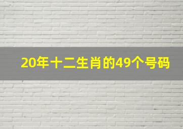 20年十二生肖的49个号码