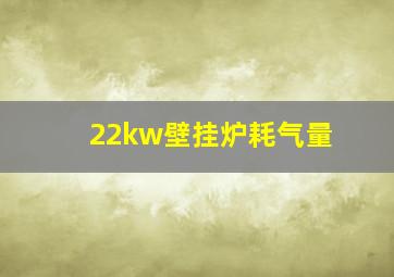 22kw壁挂炉耗气量