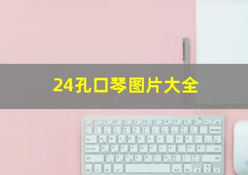 24孔口琴图片大全