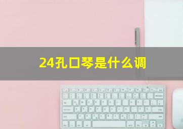 24孔口琴是什么调