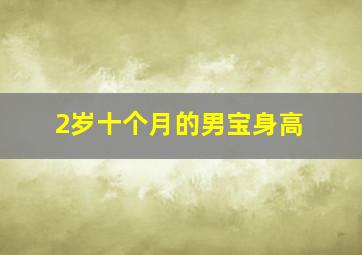 2岁十个月的男宝身高