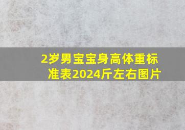 2岁男宝宝身高体重标准表2024斤左右图片