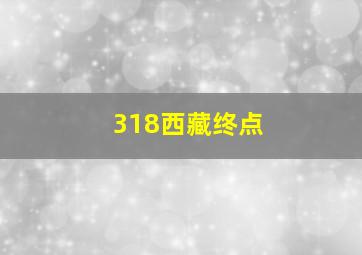 318西藏终点