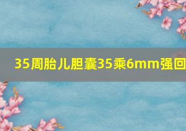 35周胎儿胆囊35乘6mm强回声