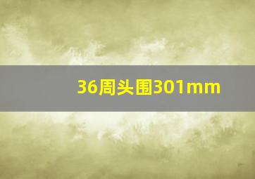 36周头围301mm