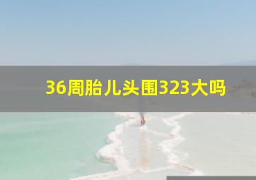 36周胎儿头围323大吗