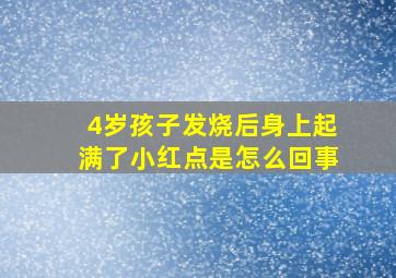 4岁孩子发烧后身上起满了小红点是怎么回事